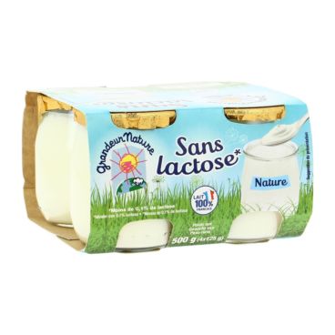 Alimentation sans lactose : lait, yaourt, fromage, gâteau et autres  produits sans lactose