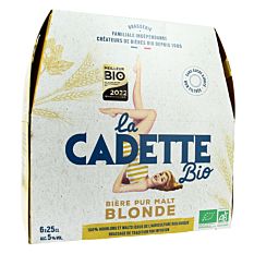 Bière pur malt blonde 6x25cl Bio