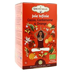 Infusion Joie Infinie Cacao, Cardamome & Orange X16 Bio 