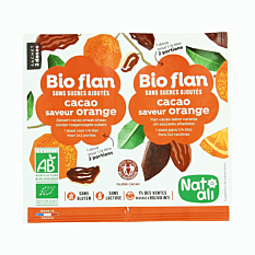 Bioflan Chocolat Orange 2X1/4L