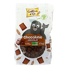 Chocolune au Chocolat 375g Bio