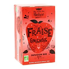 Infusion fraise & gingembre x16 sachets Bio