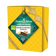 Coffret de gingembrettes chocolat noir 125g Bio