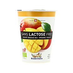 Yaourt Mangue Sans Lactose 400g Bio