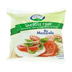Mozzarella sans lactose 100G Bio