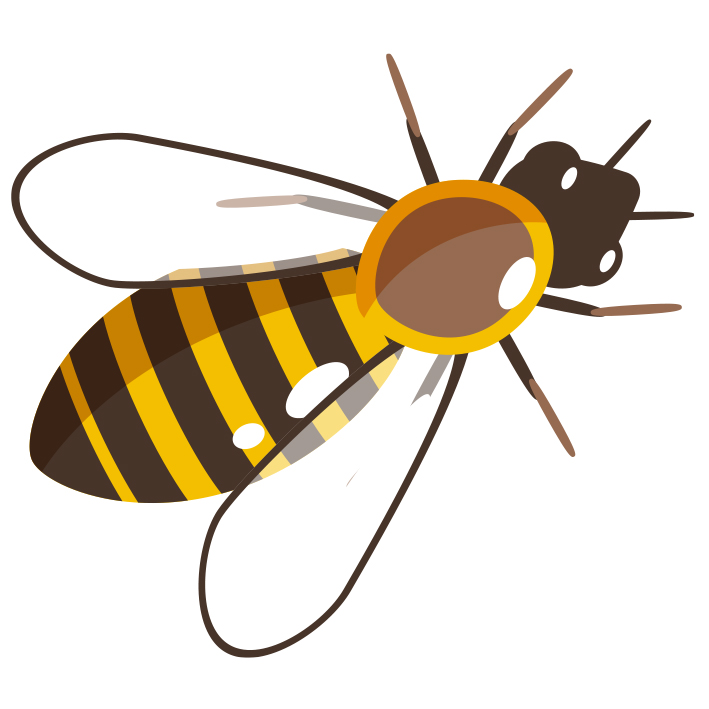 illustration d'une abeille
