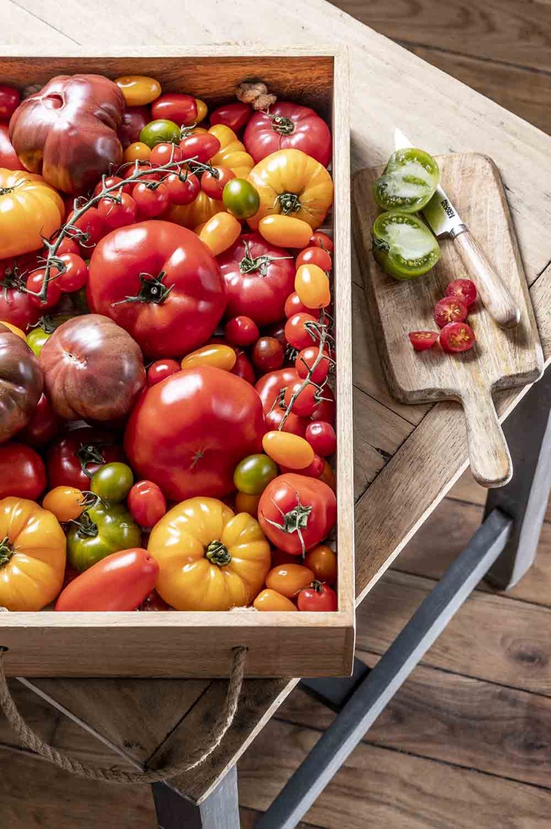 Cagette de tomates de toutes les couleurs sur une table en bois