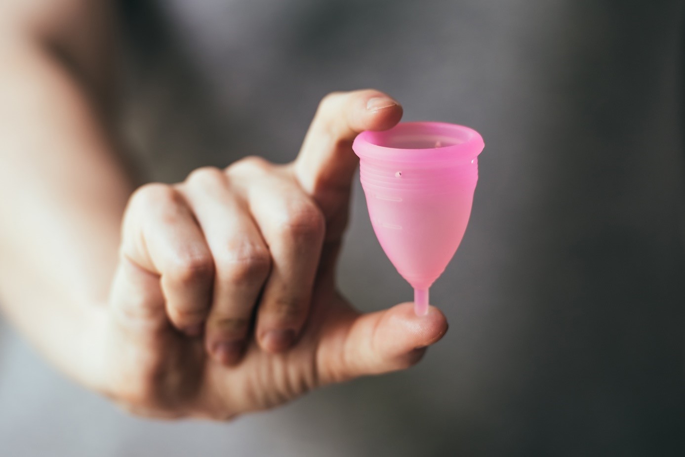 main tenant une coupe menstruelle rose