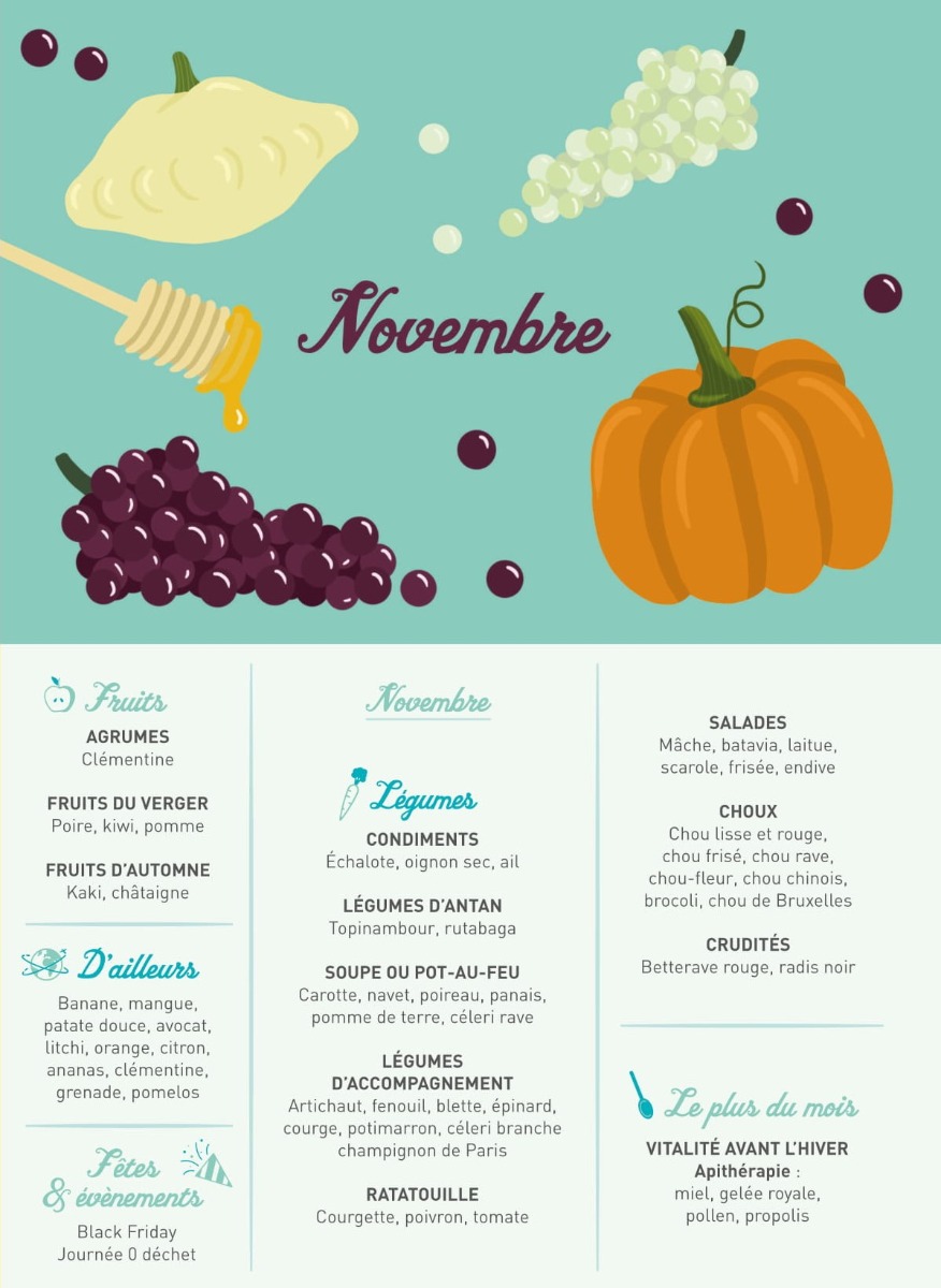 Calendrier des fruits et légumes à manger en novembre