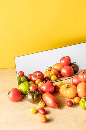 différentes variétés de tomates face à un miroir sur un fond jaune